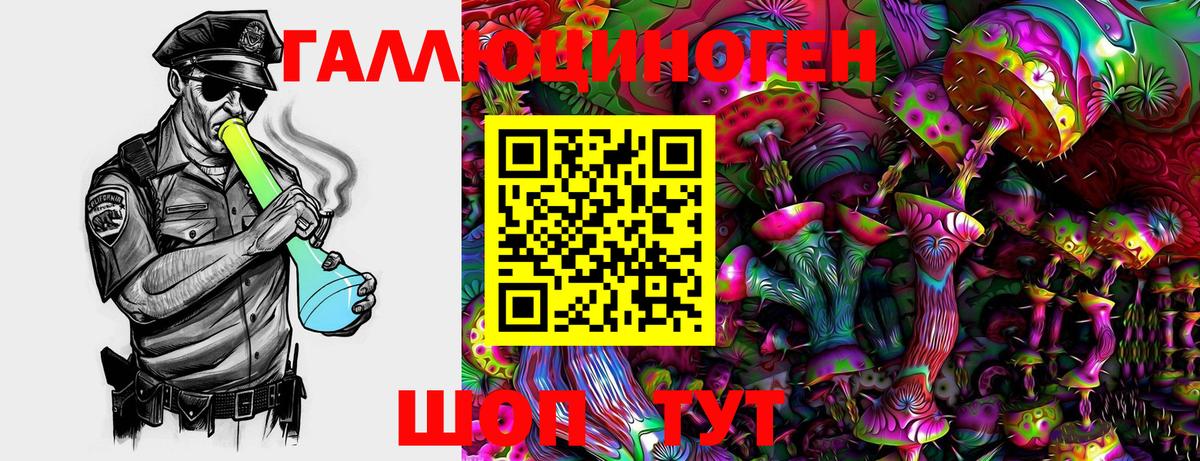 Галлюциногенные грибы GOLDEN TEACHER Чапаевск