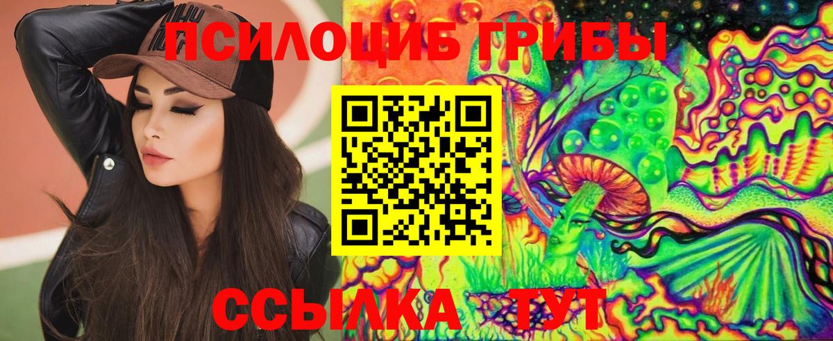 Чапаевск  Псилоцибиновые грибы прущие грибы  Галлюциногенные грибы прущие грибы  Вход с VPN 
